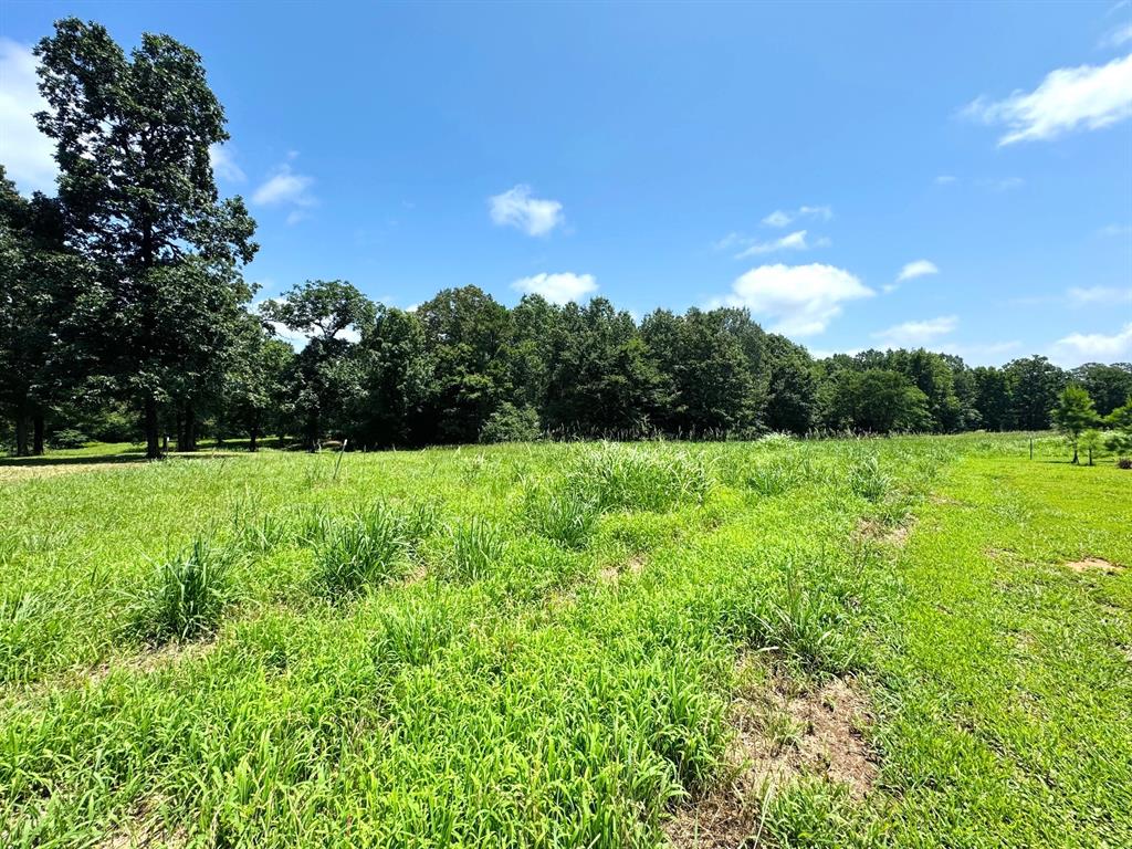 1.42 Acres County Road 2910 Property Photo 4
