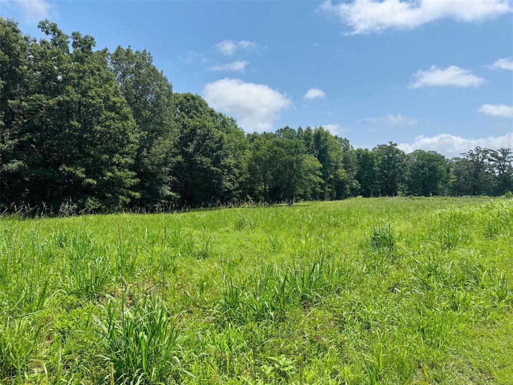 1.42 Acres County Road 2910 Property Photo 5