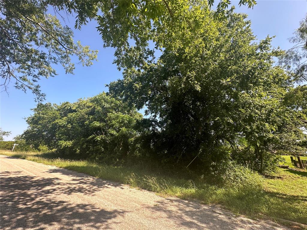 39306 Misty Ridge Drive Property Photo 1
