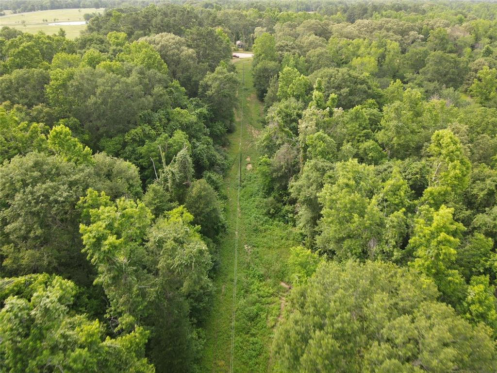 Tbd Fm-977 Property Photo 5