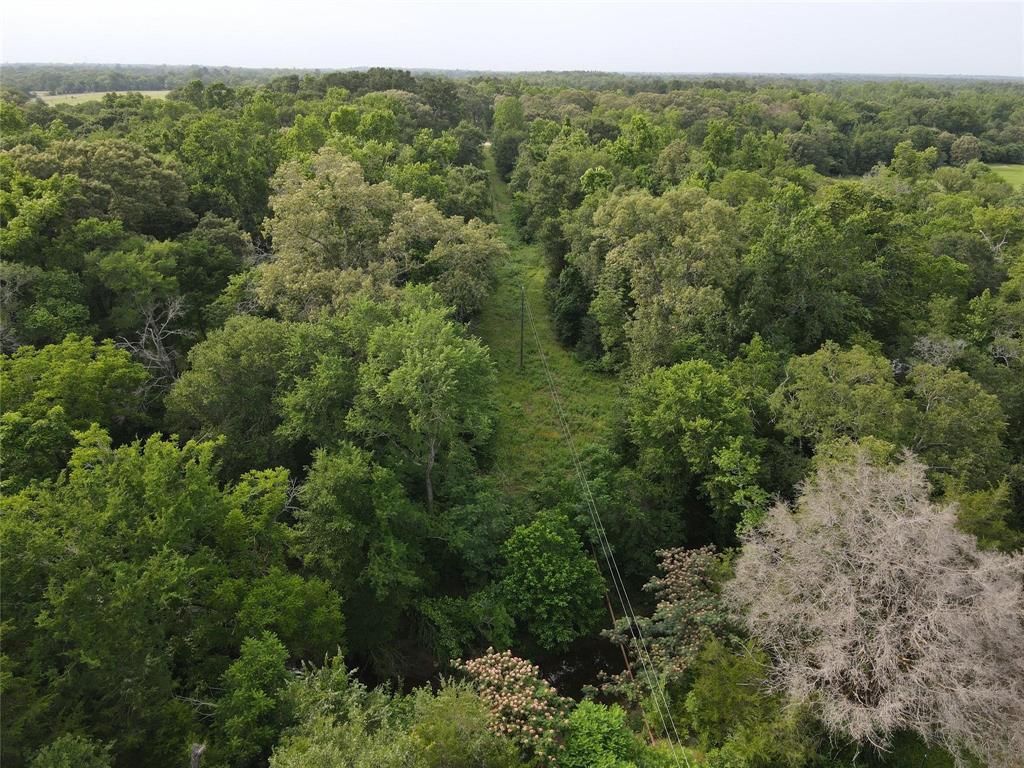 Tbd Fm-977 Property Photo 6