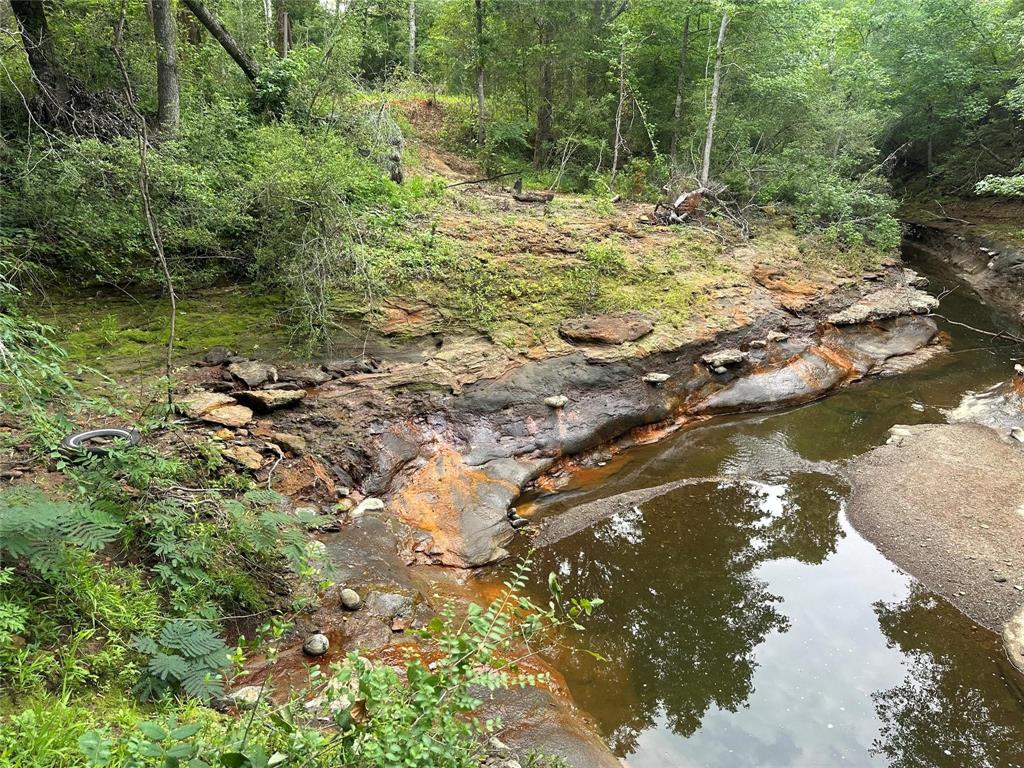 Tbd Fm-977 Property Photo 16