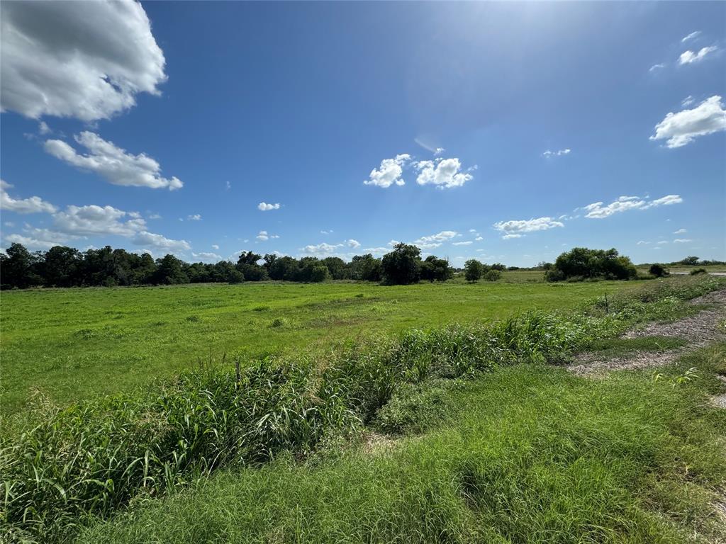 Tbd Tract #7 E Travis Property Photo 12