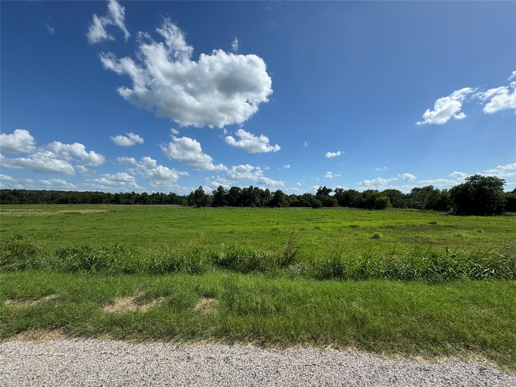 Tbd Tract #7 E Travis Property Photo 13