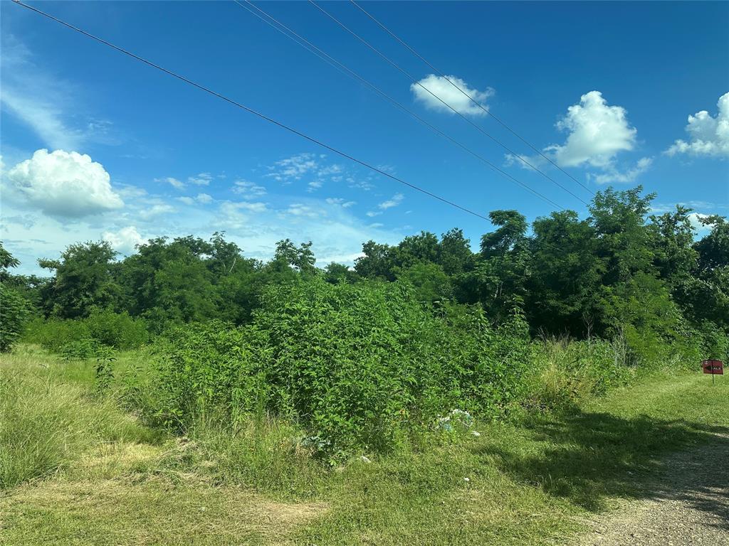Tbd County Road 287 Property Photo 1