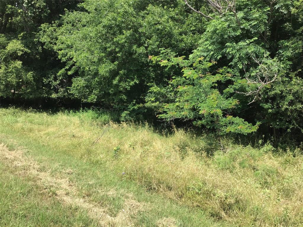 42086 Crooked Stick Drive Property Photo 3