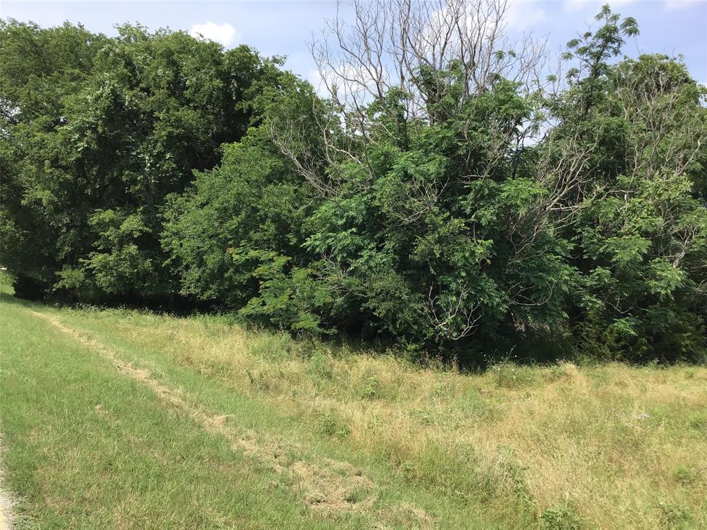 42086 Crooked Stick Drive Property Photo 7