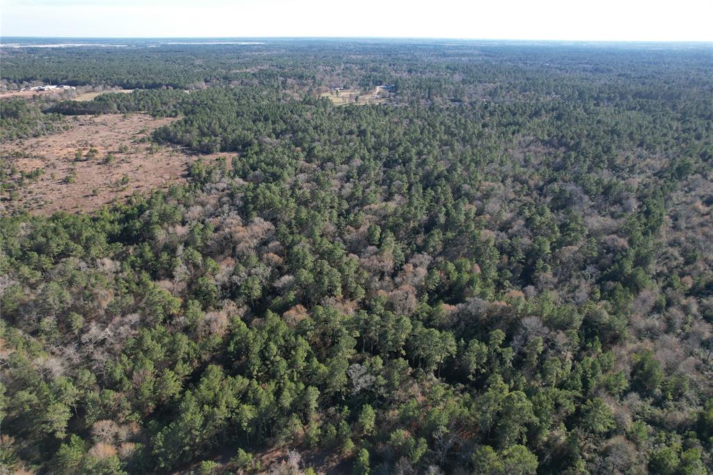 0000 Dyer Mill Rd Property Photo 3