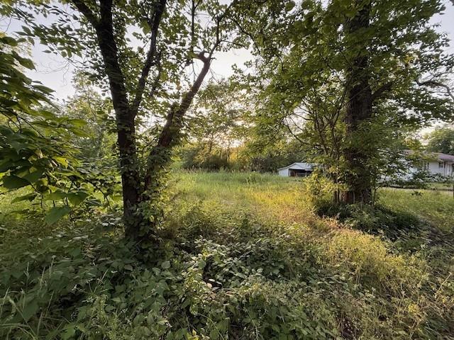 202 Elm Street Property Photo 5