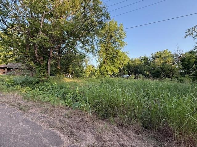 202 Elm Street Property Photo 8