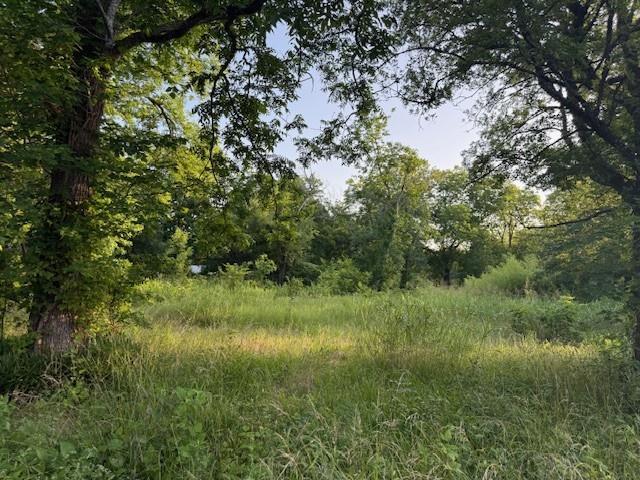 202 Elm Street Property Photo 9