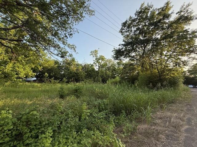202 Elm Street Property Photo 11