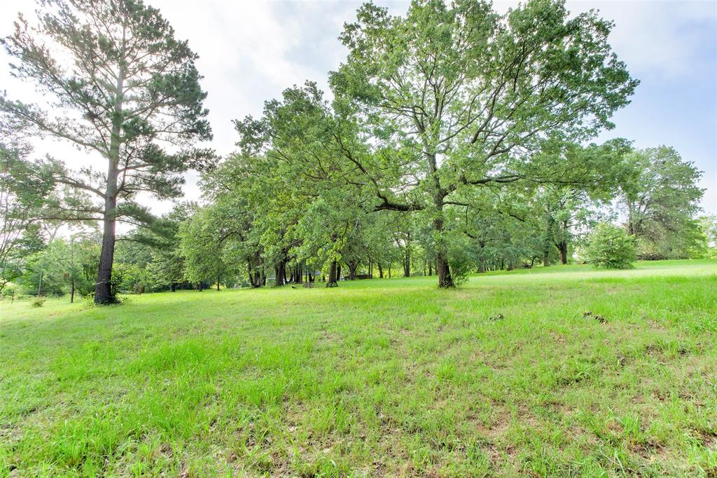 294 Fleming Road Property Photo 10