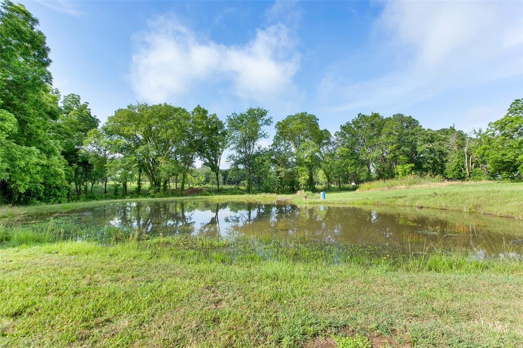 294 Fleming Road Property Photo 11