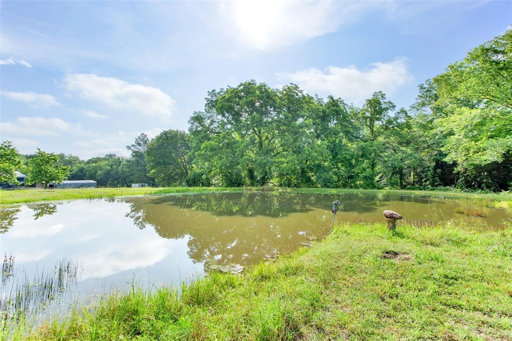 294 Fleming Road Property Photo 13