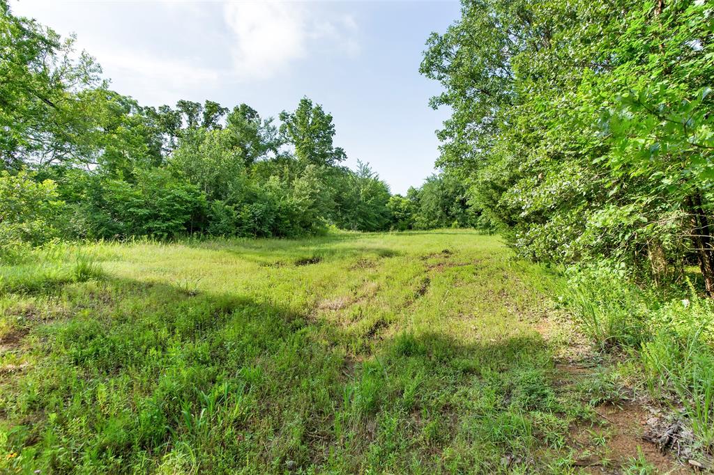 294 Fleming Road Property Photo 17