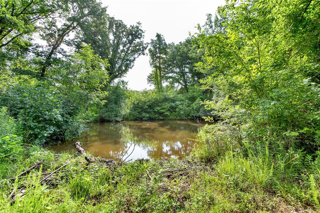 294 Fleming Road Property Photo 18