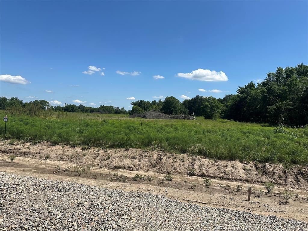 Lot 4 County Road 1110 Property Photo 1