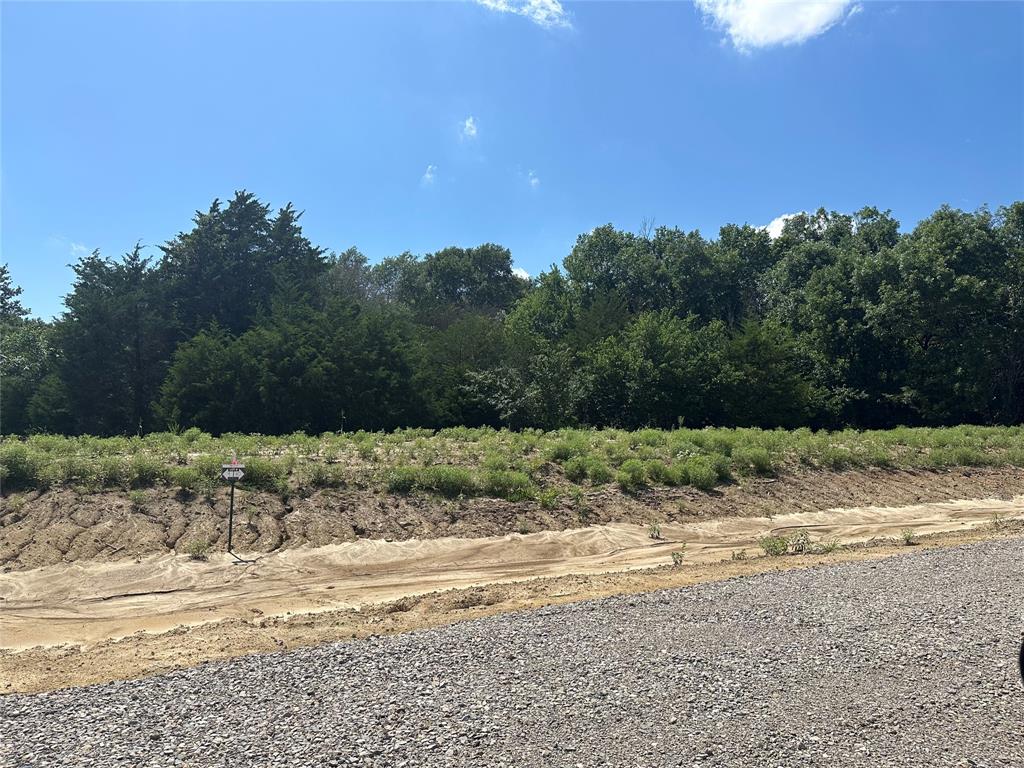 Lot 10 County Road 1110 Property Photo 1