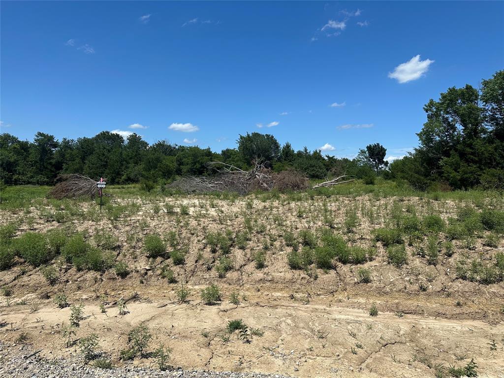 Lot 14 County Road 1110 Property Photo 1