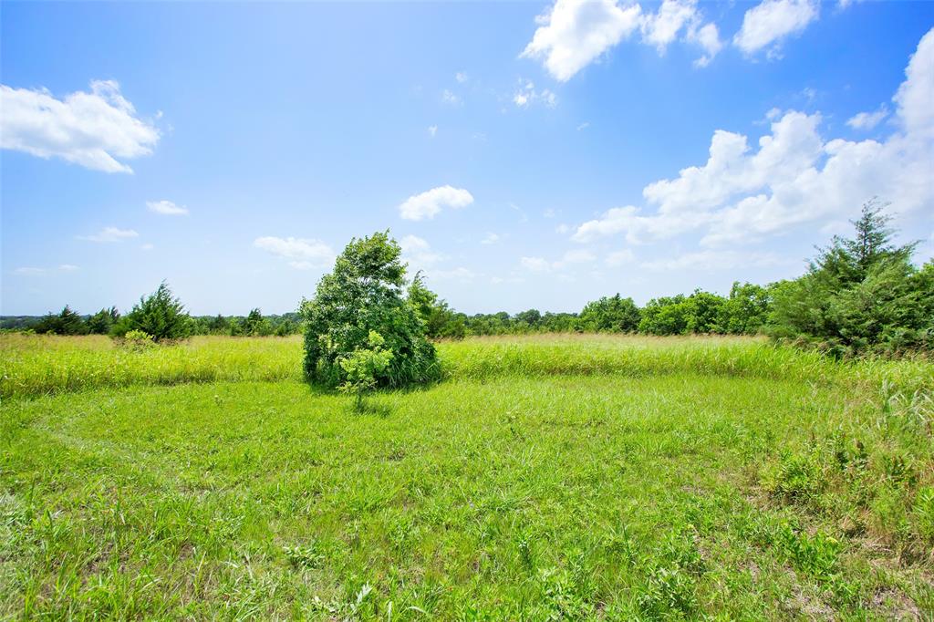 491 Morrison Road Property Photo 4