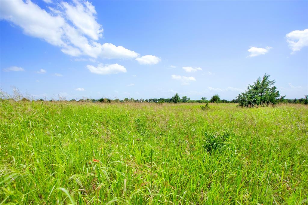 491 Morrison Road Property Photo 5
