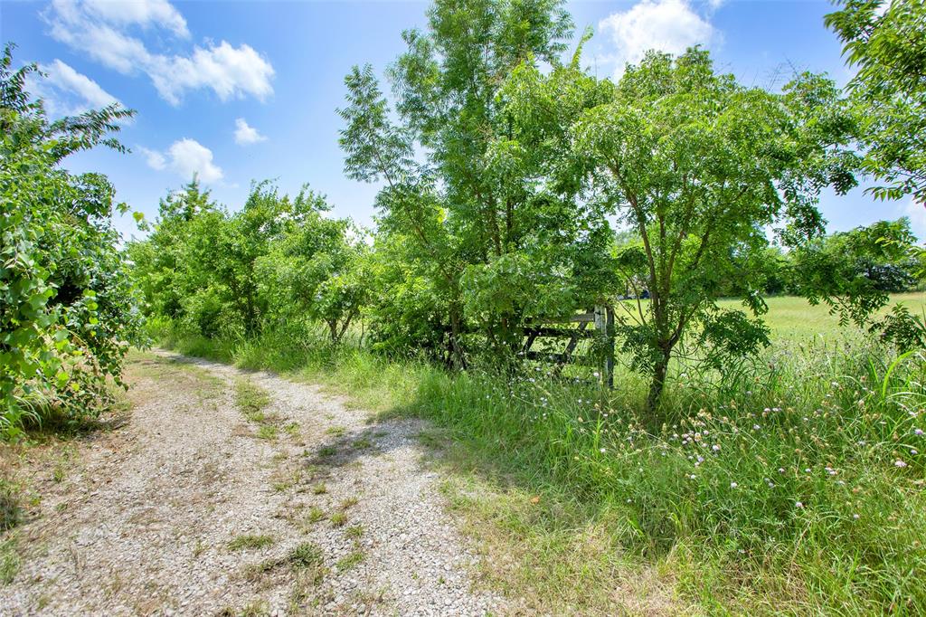 491 Morrison Road Property Photo 12