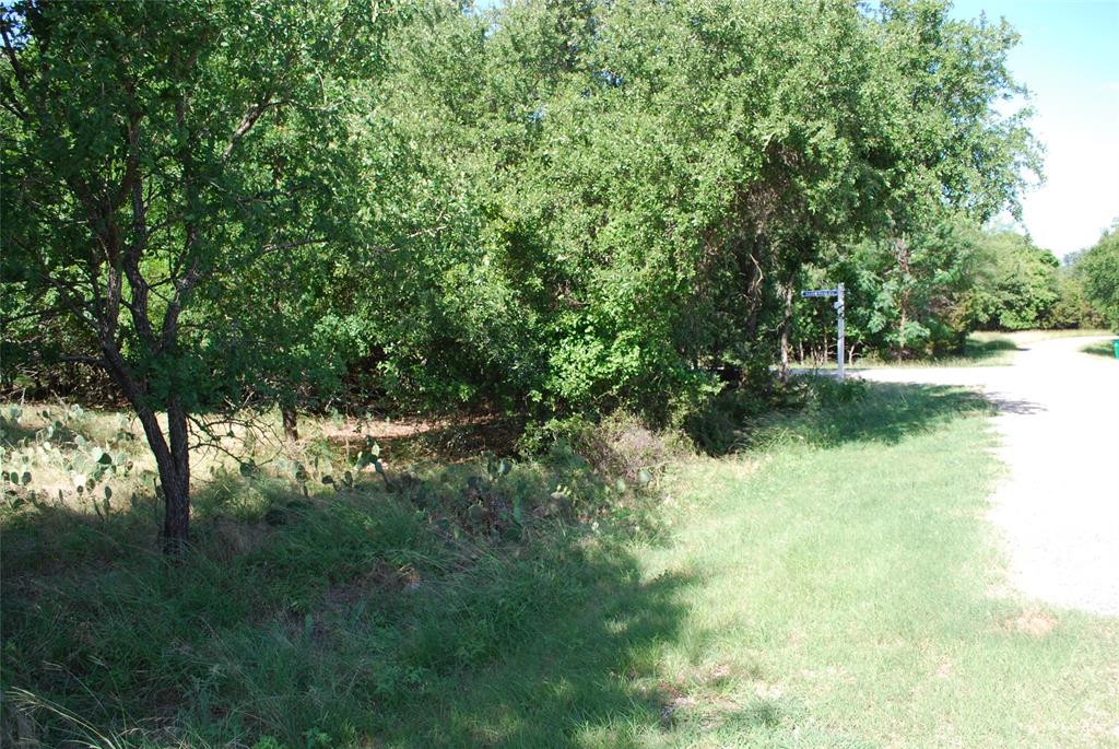 14057 Sandy Oaks Drive Property Photo 2