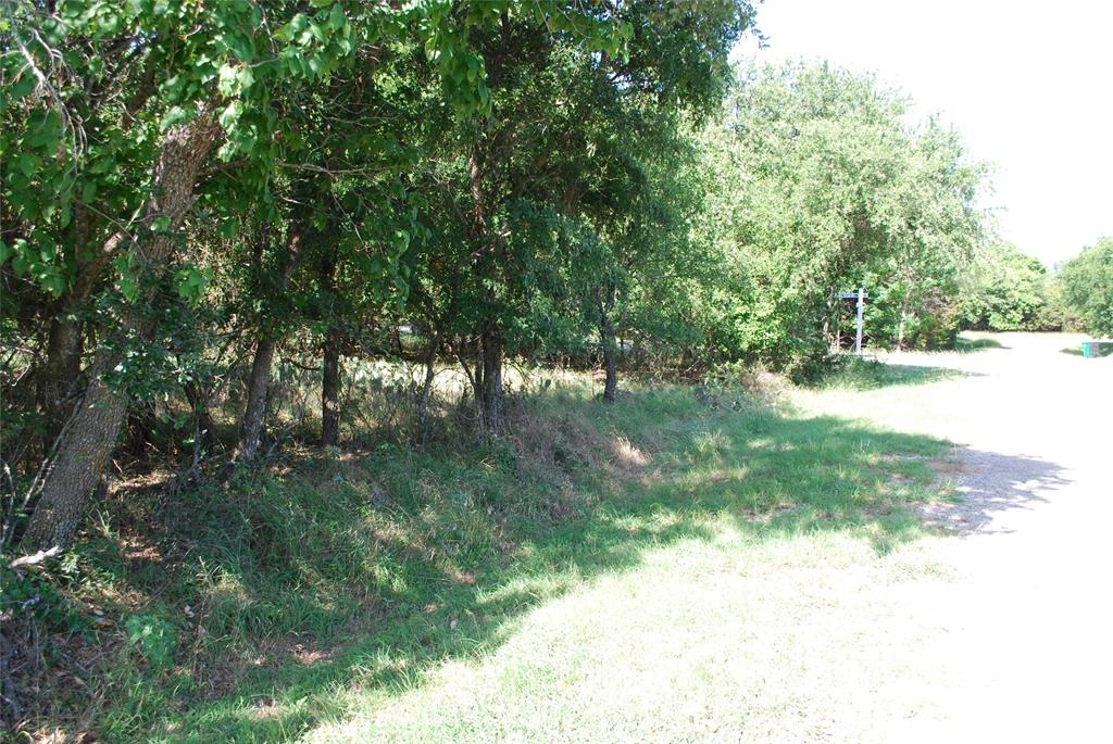 14057 Sandy Oaks Drive Property Photo 4