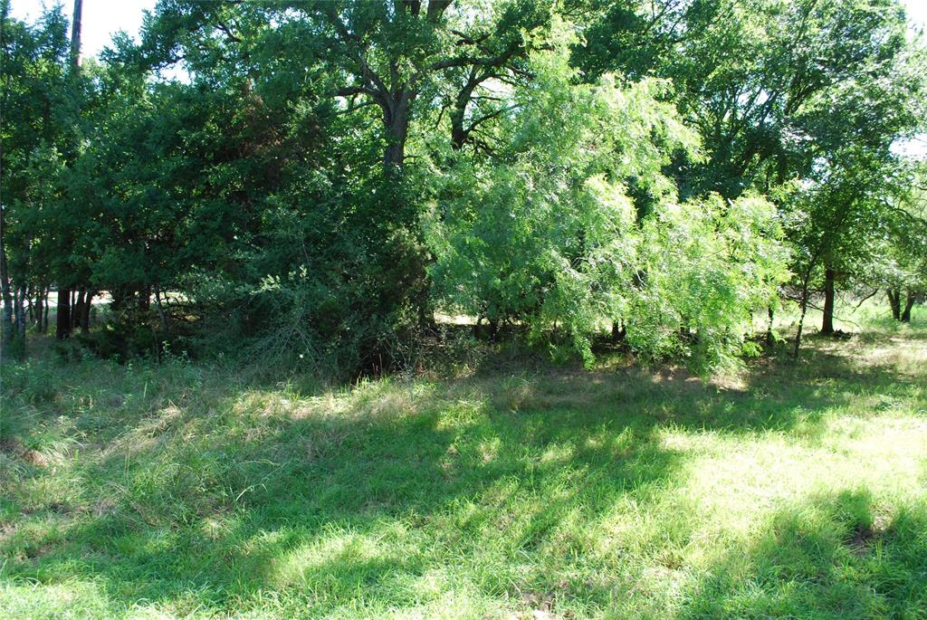 14057 Sandy Oaks Drive Property Photo 6