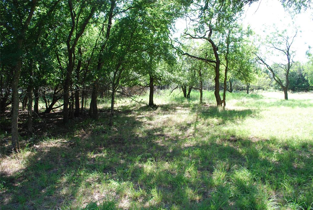 14057 Sandy Oaks Drive Property Photo 7