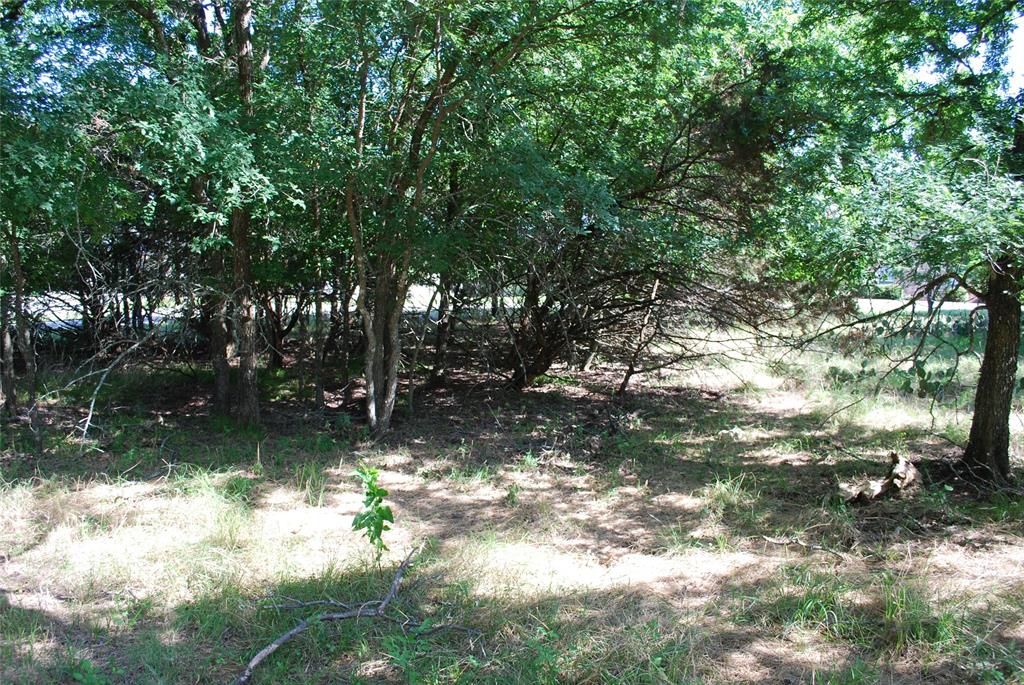 14057 Sandy Oaks Drive Property Photo 10