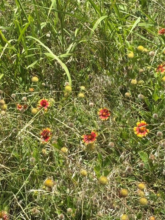 Lot 2 Chisholm Trail Property Photo 2