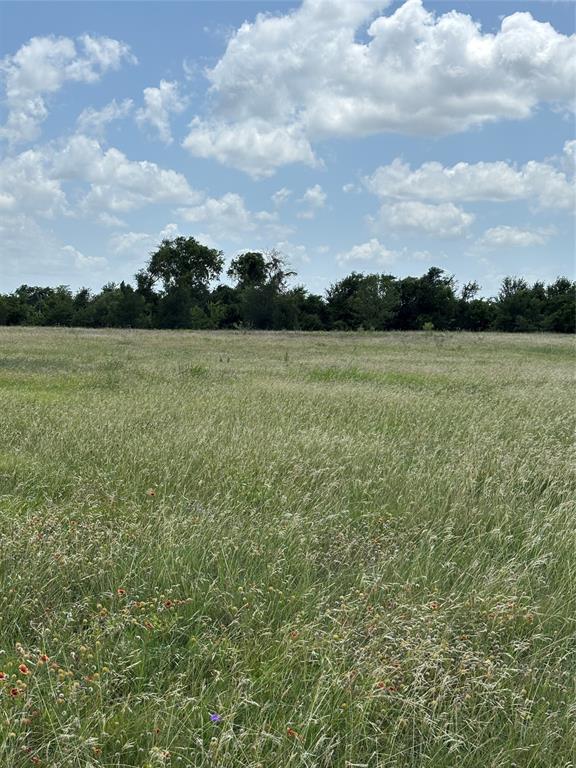 Lot 4 Chisholm Trail Property Photo 1