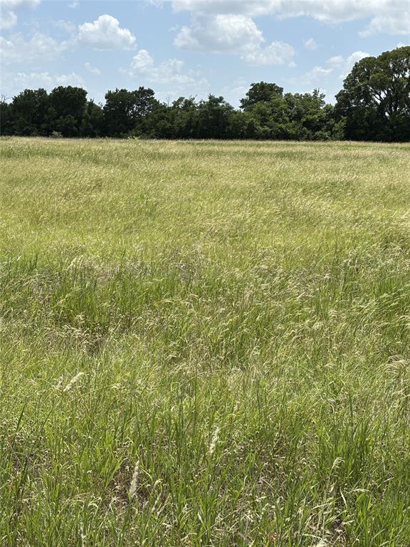 Lot 6 Chisholm Trail Property Photo 1