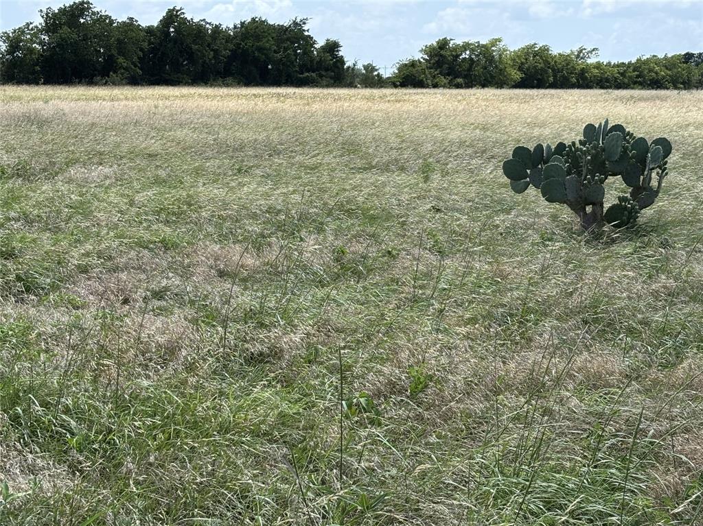 Lot 9 Chisholm Trail Property Photo 1