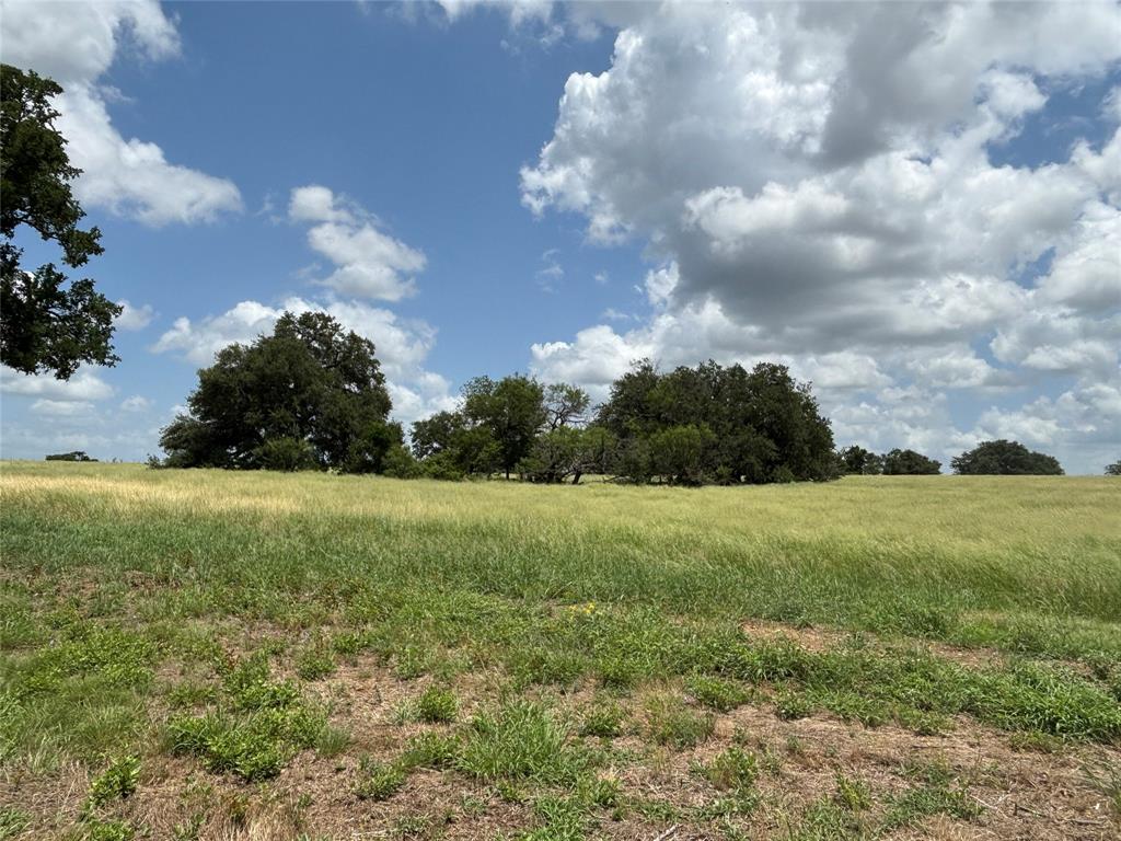 Lot 4 Old Patton Road Property Photo 2