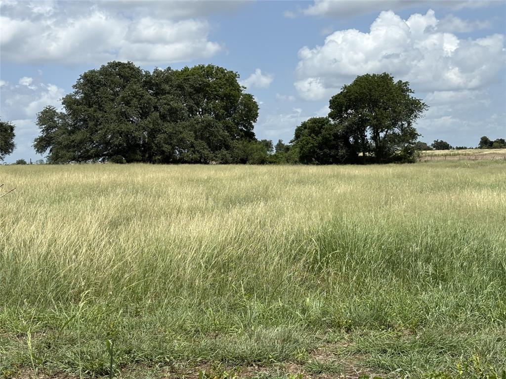 Tract 1 Patton Road Property Photo 2