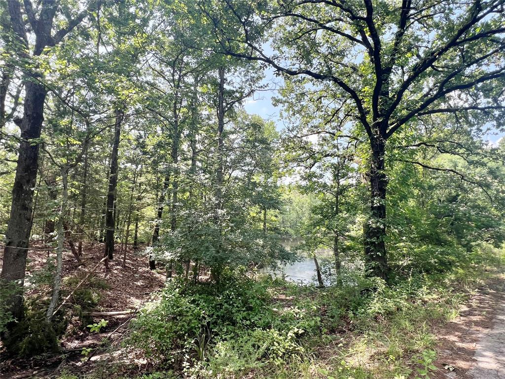 TBD CR 1664 Property Photo 1