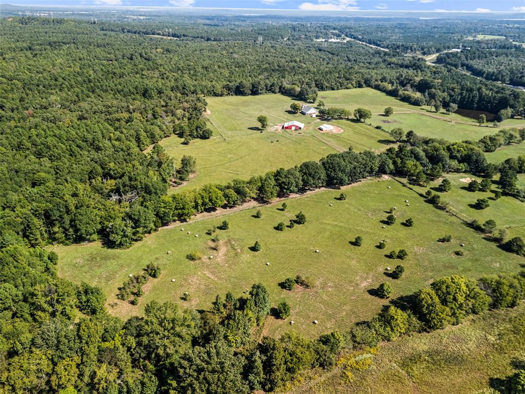5989 Hwy. 259 Property Photo 36