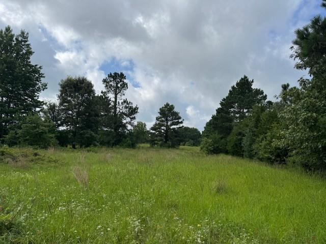 Tbd County Road 1792 Property Photo 1