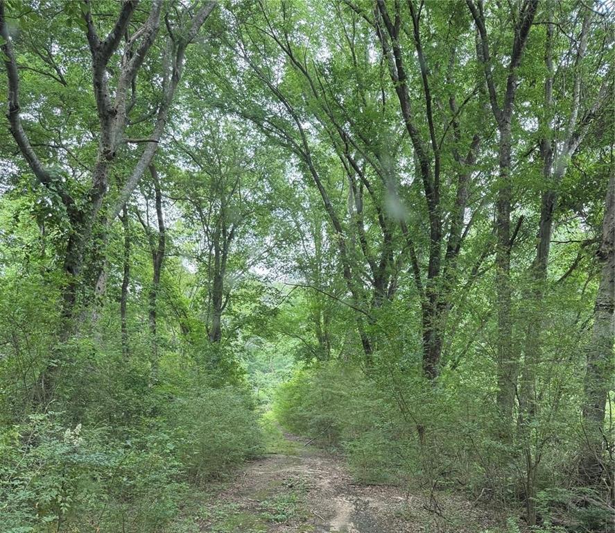 32 Acres County Road 2324 Property Photo 1