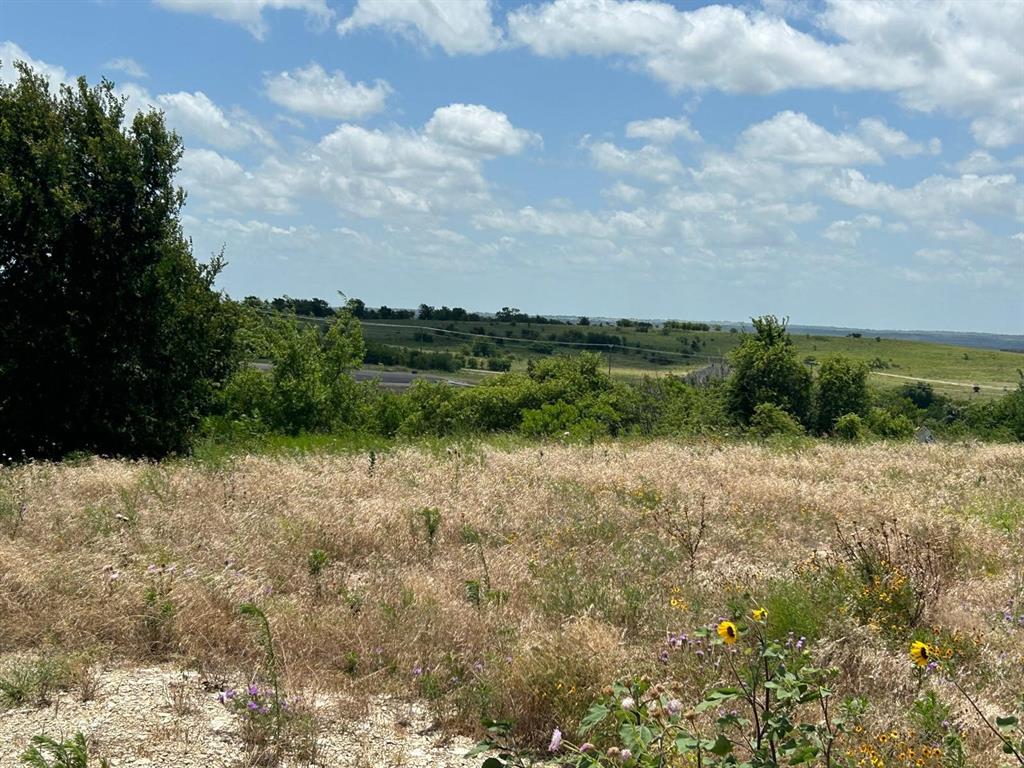 2517 Tom Chaney #104 Drive Property Photo 3