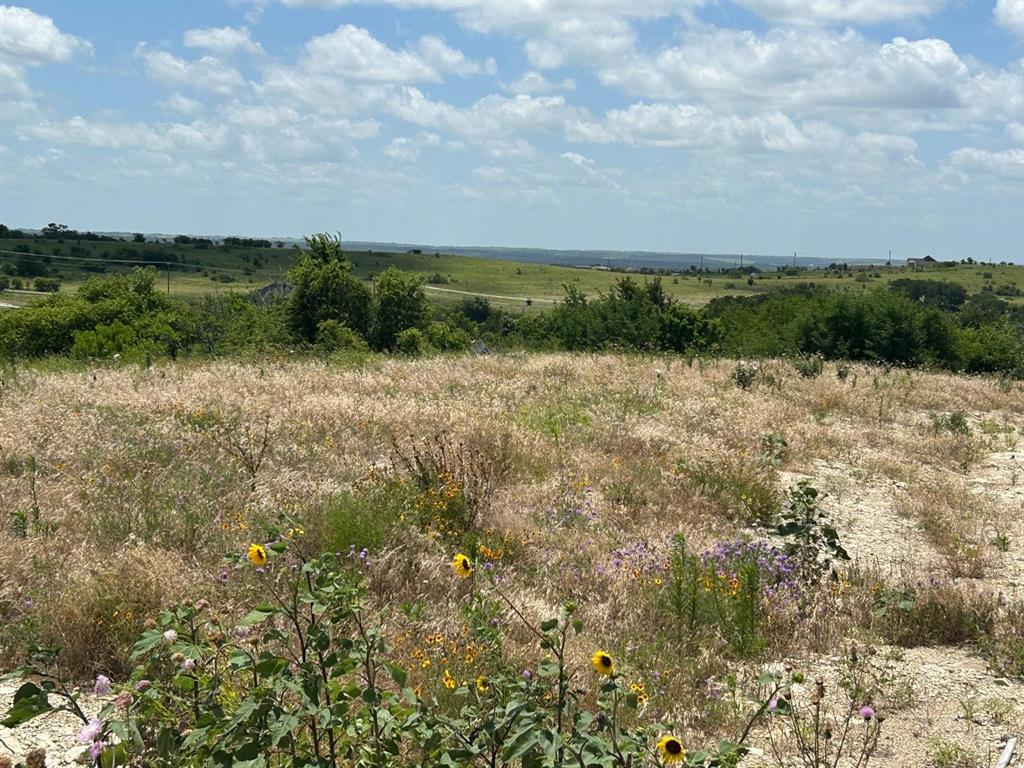 2517 Tom Chaney #104 Drive Property Photo 4