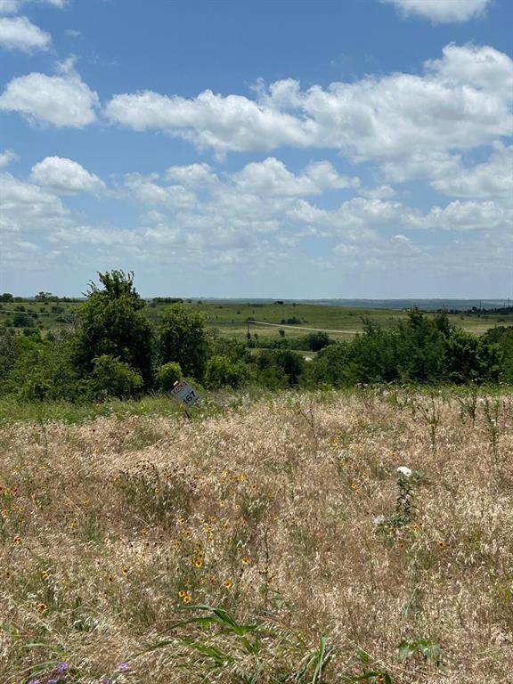 2517 Tom Chaney #104 Drive Property Photo 5