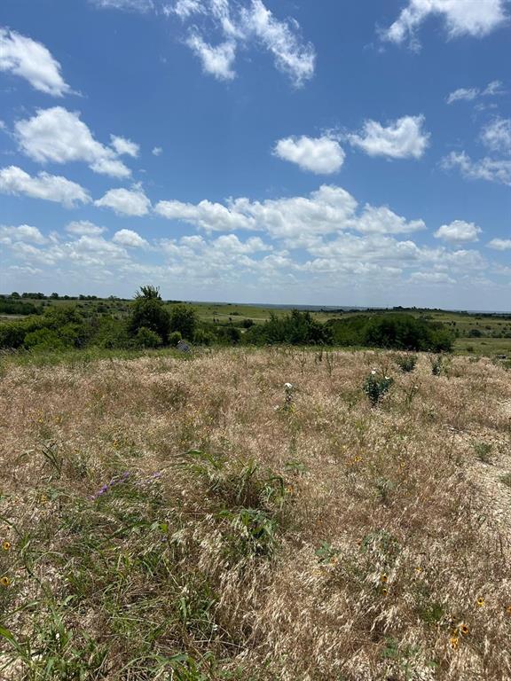 2517 Tom Chaney #104 Drive Property Photo 6