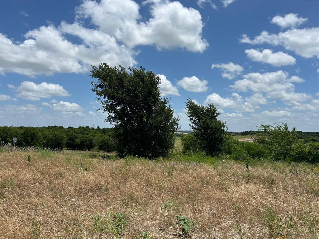 2517 Tom Chaney #104 Drive Property Photo 8
