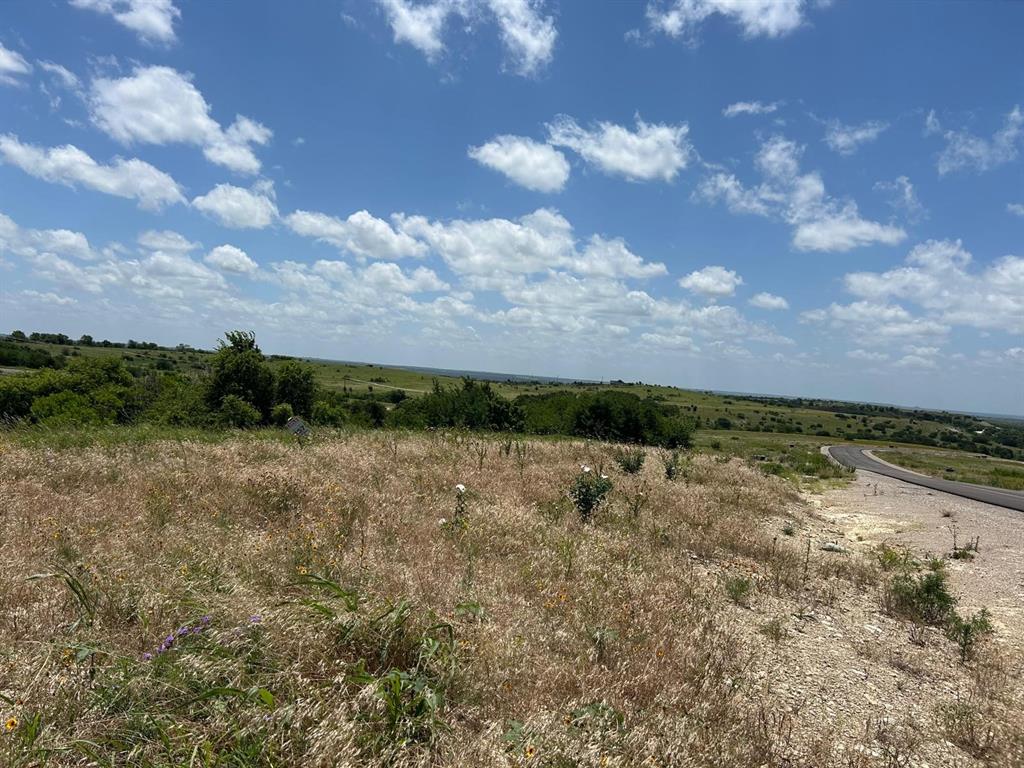 2517 Tom Chaney #104 Drive Property Photo 9