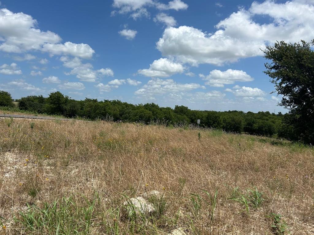2517 Tom Chaney #104 Drive Property Photo 10