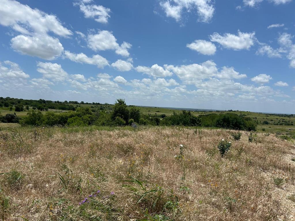 2517 Tom Chaney #104 Drive Property Photo 11